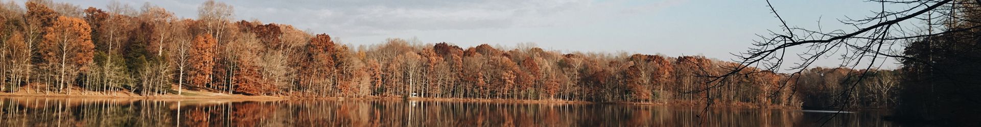 Spotsylvania Shutterstock 1579498417 Cropped